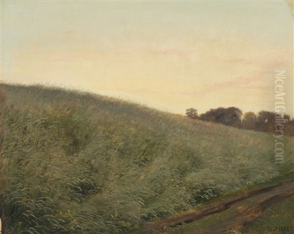 A Landscape - view 1