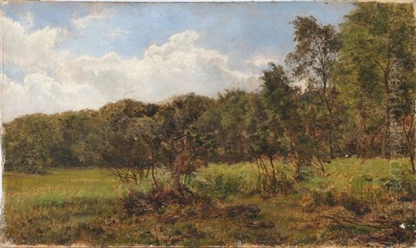 A Clearing On The Outskirts Of The Forest - view 1