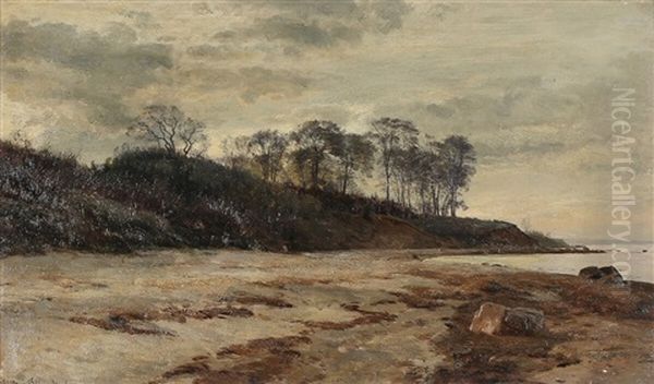 A Spring Evening On The Beach - view 1