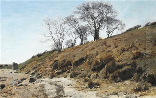 Beach Slope With Trees - view 1