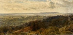 Weite Danische Landschaft