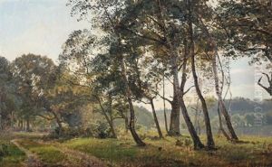 A Forest Scene With Birch Trees by Janus Andreas Bartholin La Cour