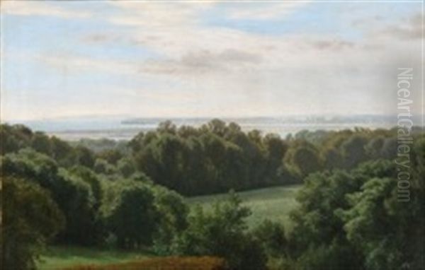 Landscape With Rolling Hills Overlooking A Fiord - view 1