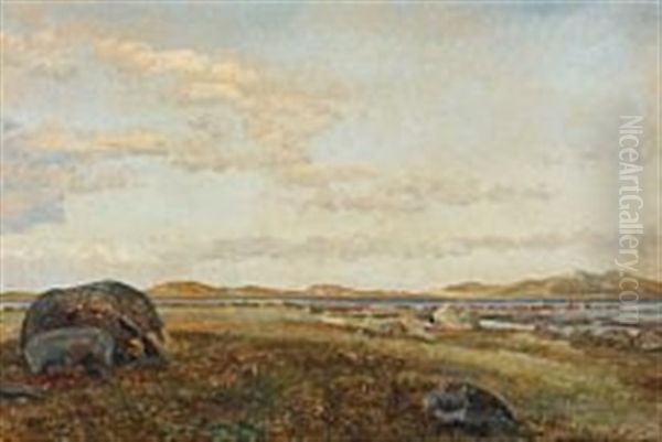View Towards Helgenaes - view 1