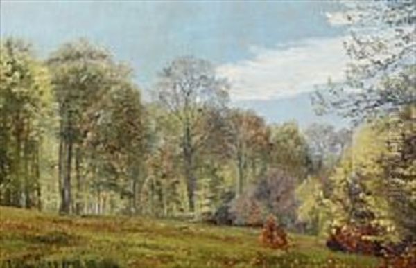 View From A Forest At Spring - view 1