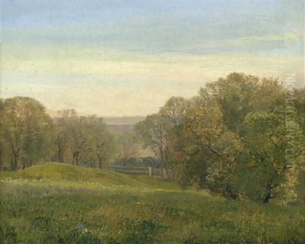 Fruhlingslandschaft - view 1