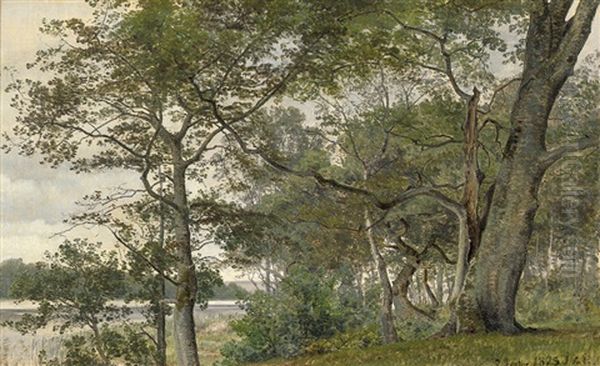 Herbstliche Baumlandschaft An Einem Fjord - view 1