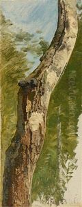 Tree Trunk by Janus Andreas Bartholin La Cour