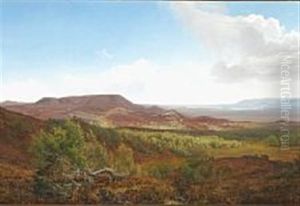 Landscape Around Himmelbjerget In Jutland