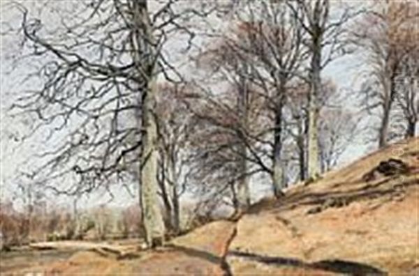 Autumn Landscape With Naked Trees - view 1