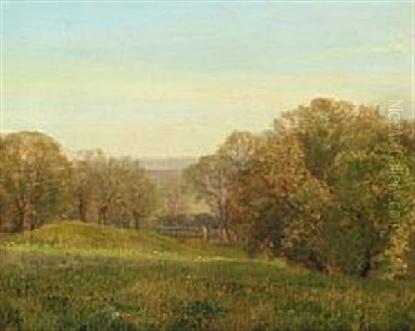 Spring Scenery - view 1