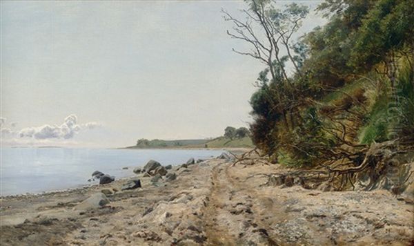 Am Strand Von Helgenaes, Im Ostlichen Jutland - view 1