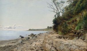 Am Strand Von Helgenaes, Im Ostlichen Jutland Am Strand Von Helgenaes, Im Ostlichen Jutland