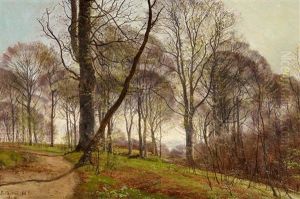 Fruhling Im Buchenwald by Janus Andreas Bartholin La Cour
