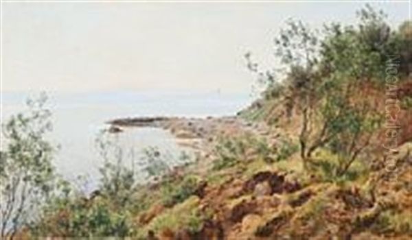 Coastal Scene From Moesgaard Beach - view 1