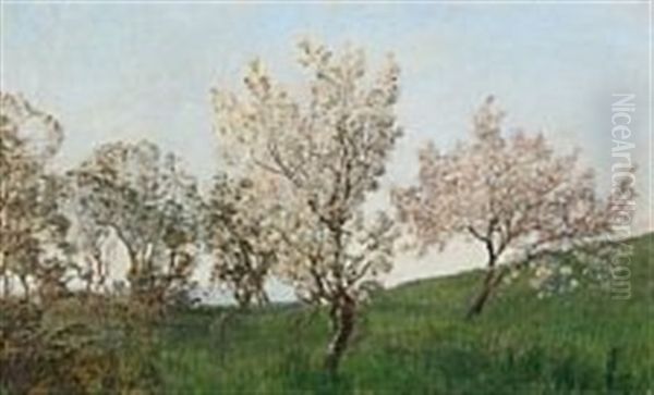 Landscape With Cherry Trees - view 1