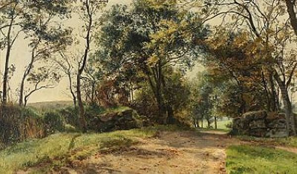 Vej I Moesgaard Skov - view 1