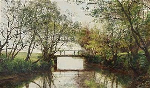 Ved Aaen I Moesgaard Skov - view 1