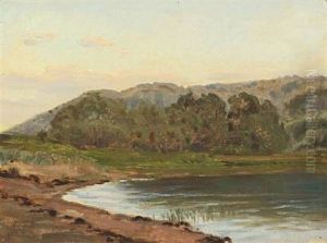 Early Morning Near A Lake