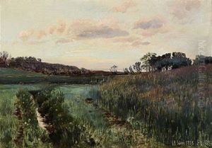 Evening Landscape