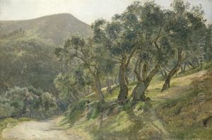 Mediterrane Berglandschaft Mit Von Olivenbaumen Gesaumtem Weg