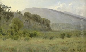 Sommerlandschaft In Sudfrankreich Mit Bluhendem Mohn