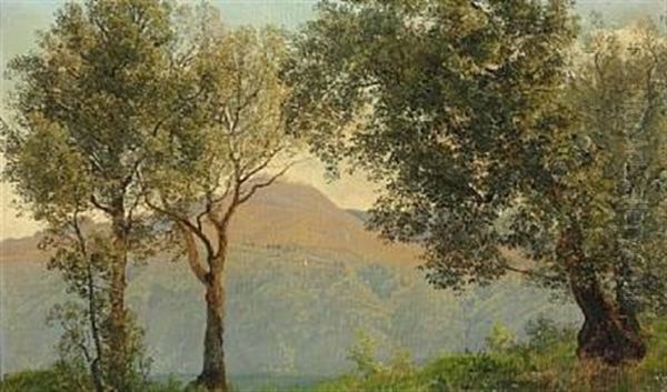 Ved Lago Di Castello - view 1