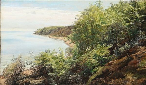 Summer Day At A Danish Fiord - view 1