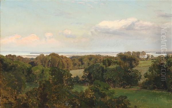 Summer View From Baekkeskov, Denmark - view 1