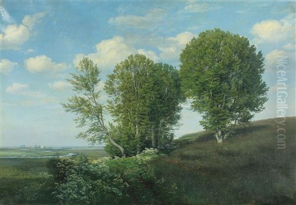 Danish Summer Landscape - view 1