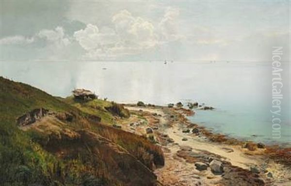 Stille Sommerdag Ud Over Havet - view 1
