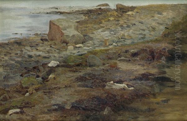 Studie Einer Felsigen Kuste Mit Steinen - view 1