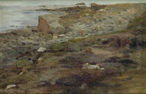 Studie Einer Felsigen Kuste Mit Steinen by Janus Andreas Bartholin La Cour