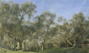 Olivenhain In Bordighera Bei San Remo by Janus Andreas Bartholin La Cour