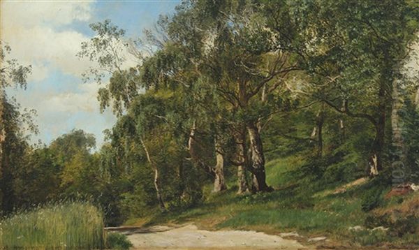 Forest Scene With Birch Trees By A Small Road - view 1