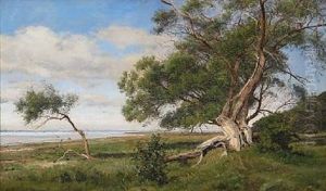 Ved Kalo Vig. Eftermiddag I August