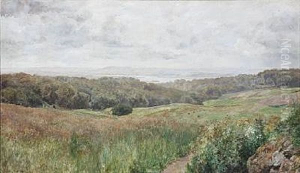 Summer Landscape From Stovring, Denmark - view 1