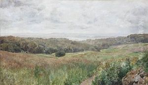 Summer Landscape From Stovring, Denmark Summer Landscape From Stovring, Denmark
