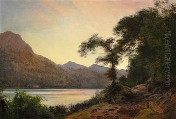 Summer Day Near A Lake - view 1