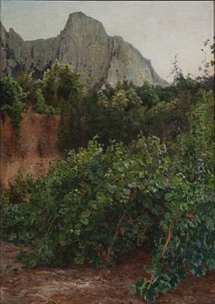 Southern European Landscape With Vines - view 1