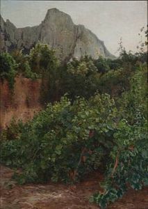 Southern European Landscape With Vines