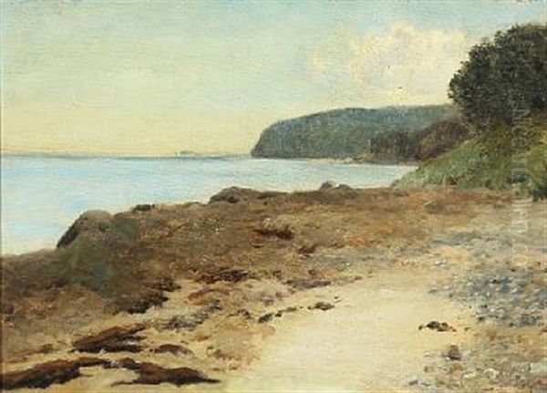 Strandparti, Aarhusbugten (moesgard) - view 1