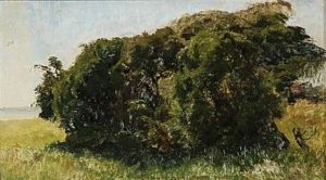 Landscape With Green Trees by Janus Andreas Bartholin La Cour