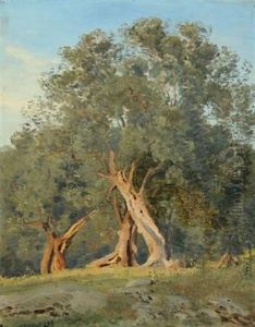 Olivenlund