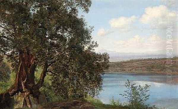 View From Lago Di Castello In Italy - view 1