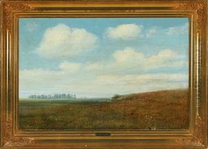 Landscape With Open Spaces And Wild Flowers