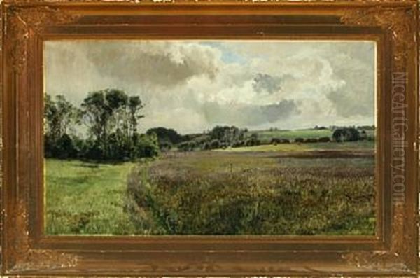 Moor Landscape, Fulden By Aarhus - view 1