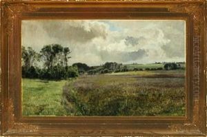 Moor Landscape, Fulden By Aarhus