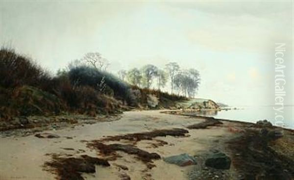 Stille Eftermiddag Ved Stranden, Maj - view 1