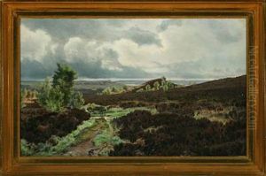 Landscape Near Silkeborg In Jutland